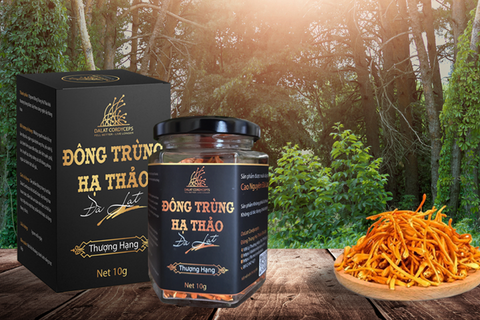 8 tác dụng của đông trùng hạ thảo