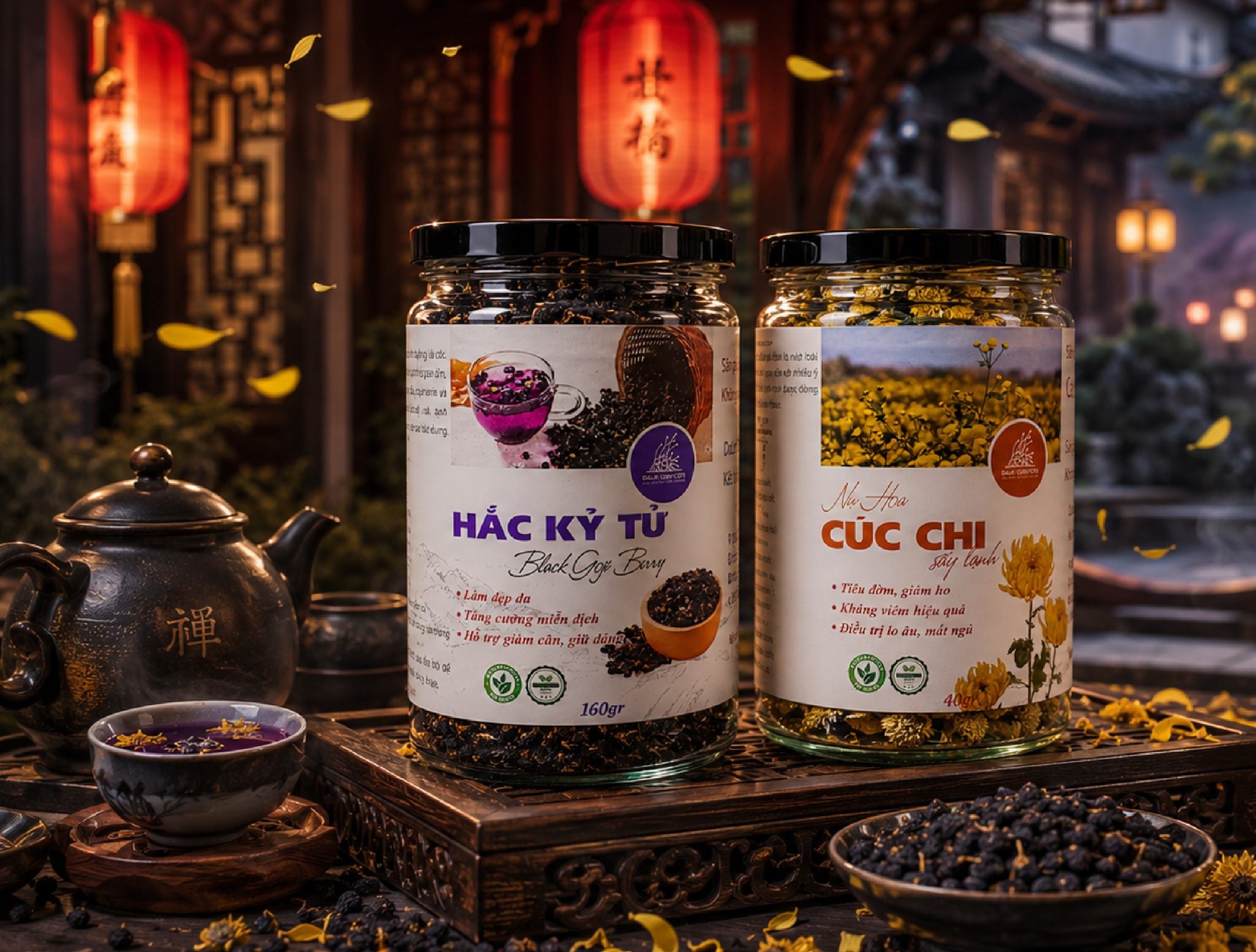 🌼 HẮC KỶ TỬ & NỤ HOA CÚC CHI 🌼