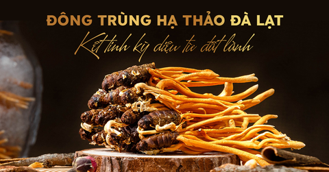 Đông trùng Hạ thảo hữu cơ