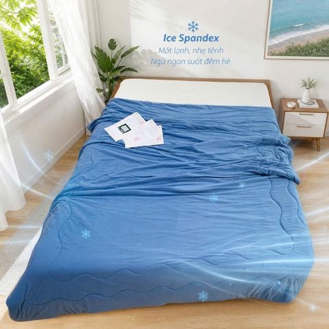 Giải Pháp Chăn Ga Tản Nhiệt Cho Không Gian Căn Hộ Hiện Đại Tại Khu Vực Quận 2
