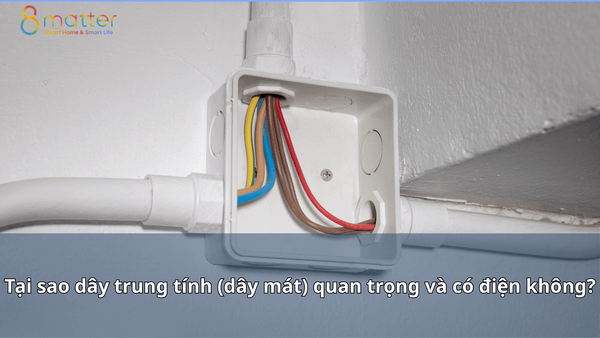 Tại sao dây trung tính (dây mát) quan trọng và có điện không?