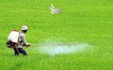 Cách sử dụng và bảo quản bình phun thuốc