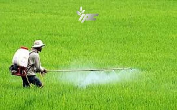 Cách sử dụng và bảo quản bình phun thuốc
