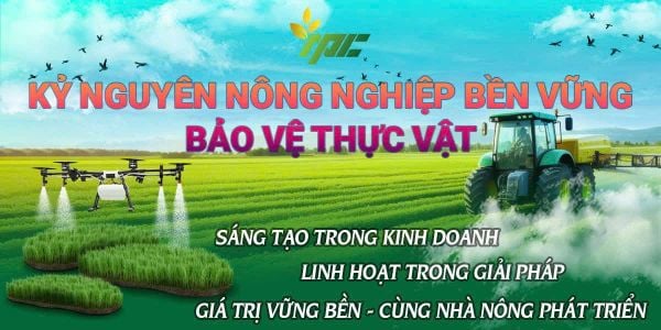 Dẫn đầu kỷ nguyên mới