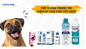 TOP 5 LOẠI THUỐC TRỊ VIÊM DA CHO CHÓ: GIẢI PHÁP HIỆU QUẢ CHO BỆNH VIÊM DA THƯỜNG GẶP