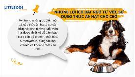 NHỮNG LỢI ÍCH BẤT NGỜ TỪ VIỆC SỬ DỤNG THỨC ĂN HẠT CHO CHÓ