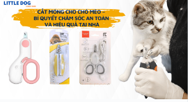 CẮT MÓNG CHO CHÓ MÈO – BÍ QUYẾT CHĂM SÓC AN TOÀN VÀ HIỆU QUẢ TẠI NHÀ
