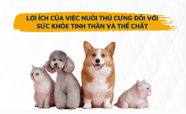 LỢI ÍCH CỦA VIỆC NUÔI THÚ CƯNG ĐỐI VỚI SỨC KHỎE TINH THẦN VÀ THỂ CHẤT