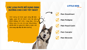 CÁC LOẠI PATE BỔ SUNG DINH DƯỠNG CHO CHÓ TỐT NHẤT