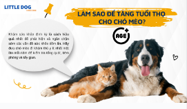 LÀM SAO ĐỂ TĂNG TUỔI THỌ CHO CHÓ MÈO? BÍ QUYẾT GIÚP THÚ CƯNG SỐNG LÂU VÀ KHỎE MẠNH
