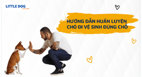 HƯỚNG DẪN HUẤN LUYỆN CHÓ ĐI VỆ SINH ĐÚNG CHỖ