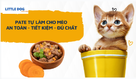 PATE TỰ LÀM CHO MÈO: AN TOÀN - TIẾT KIỆM - ĐỦ CHẤT