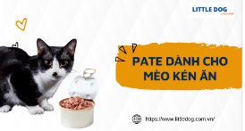 PATE DÀNH CHO MÈO KÉN ĂN