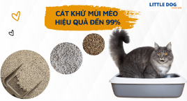 CÁT KHỬ MÙI MÈO HIỆU QUẢ ĐẾN 99%