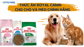 THỨC ĂN ROYAL CANIN CHÍNH HÃNG CHO CHÓ VÀ MÈO TẠI LITTLE DOG
