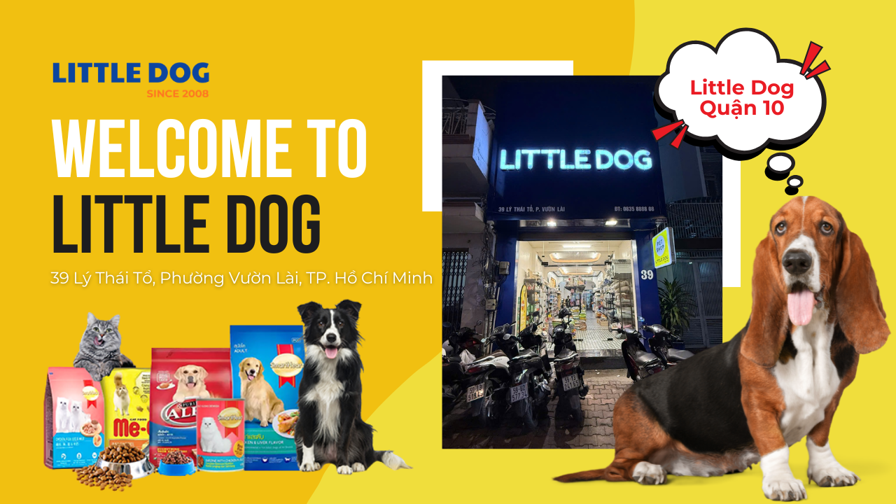 Little Dog Quận 10 - Cửa Hàng Vật Dụng Thú Cưng Tại 39 Lý Thái Tổ