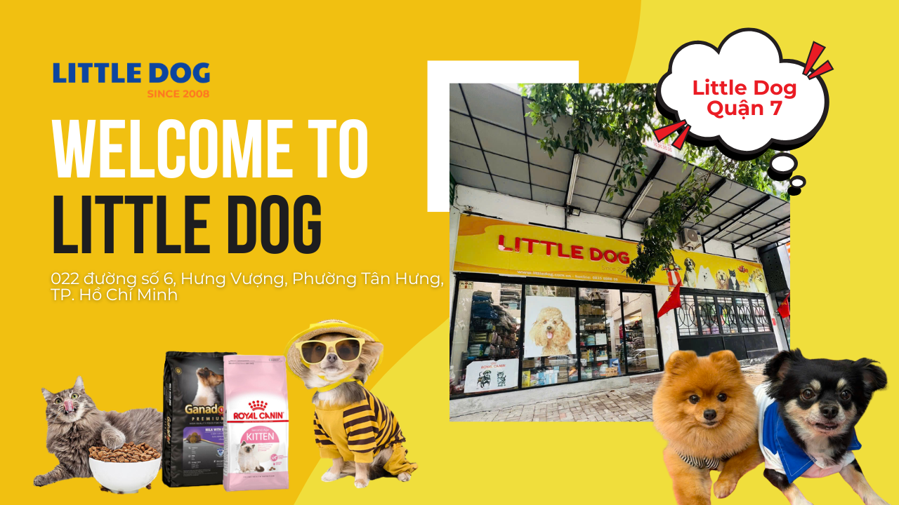 Little Dog Quận 7 – Không Gian Mua Sắm Rộng Rãi Tại Phú Mỹ Hưng