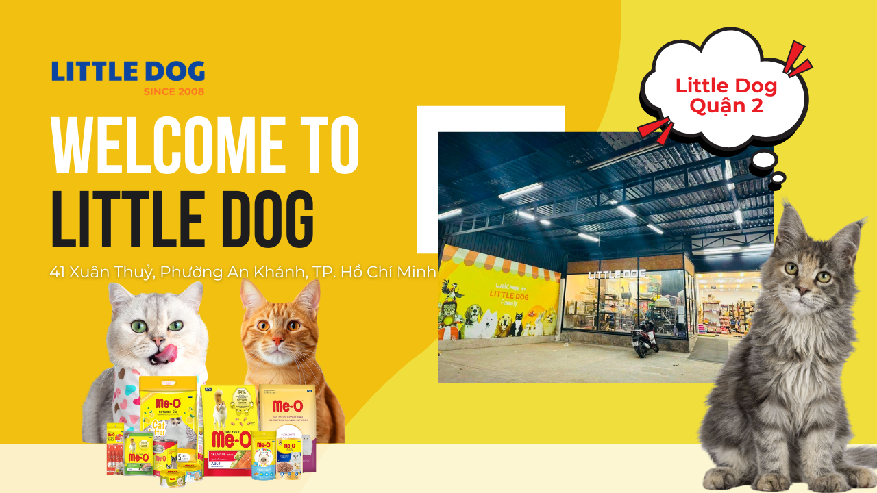 Little Dog Thảo Điền – Chi Nhánh Lớn Nhất Với Không Gian Mua Sắm Lý Tưởng Quận 2