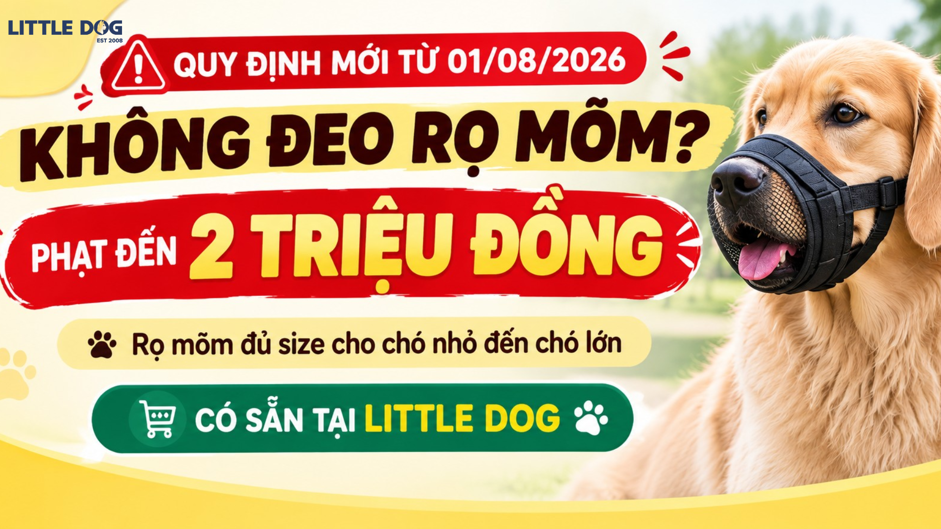 Quy Định Mới Từ 01/08/2026: Không Đeo Rọ Mõm Cho Chó Có Thể Bị Phạt Đến 2 Triệu Đồng – Chủ Nuôi Cần Chuẩn Bị Gì?