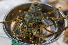 Surpassing the US, China becomes the largest importer of Vietnamese seafood