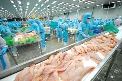 Xuất khẩu thủy sản, doanh nghiệp chuẩn bị cho kịch bản khó hơn