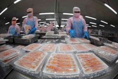 New opportunities for Vietnamese seafood against the backdrop of global trade competition