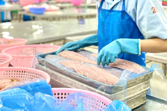Việt Nam trở thành một trong ba quốc gia xuất khẩu thủy sản lớn nhất thế giới, sau Trung Quốc, Na Uy