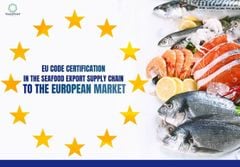 Chứng nhận EU Code – Mắt xích còn thiếu để hoàn thiện chuỗi xuất khẩu thủy sản Việt Nam sang châu Âu