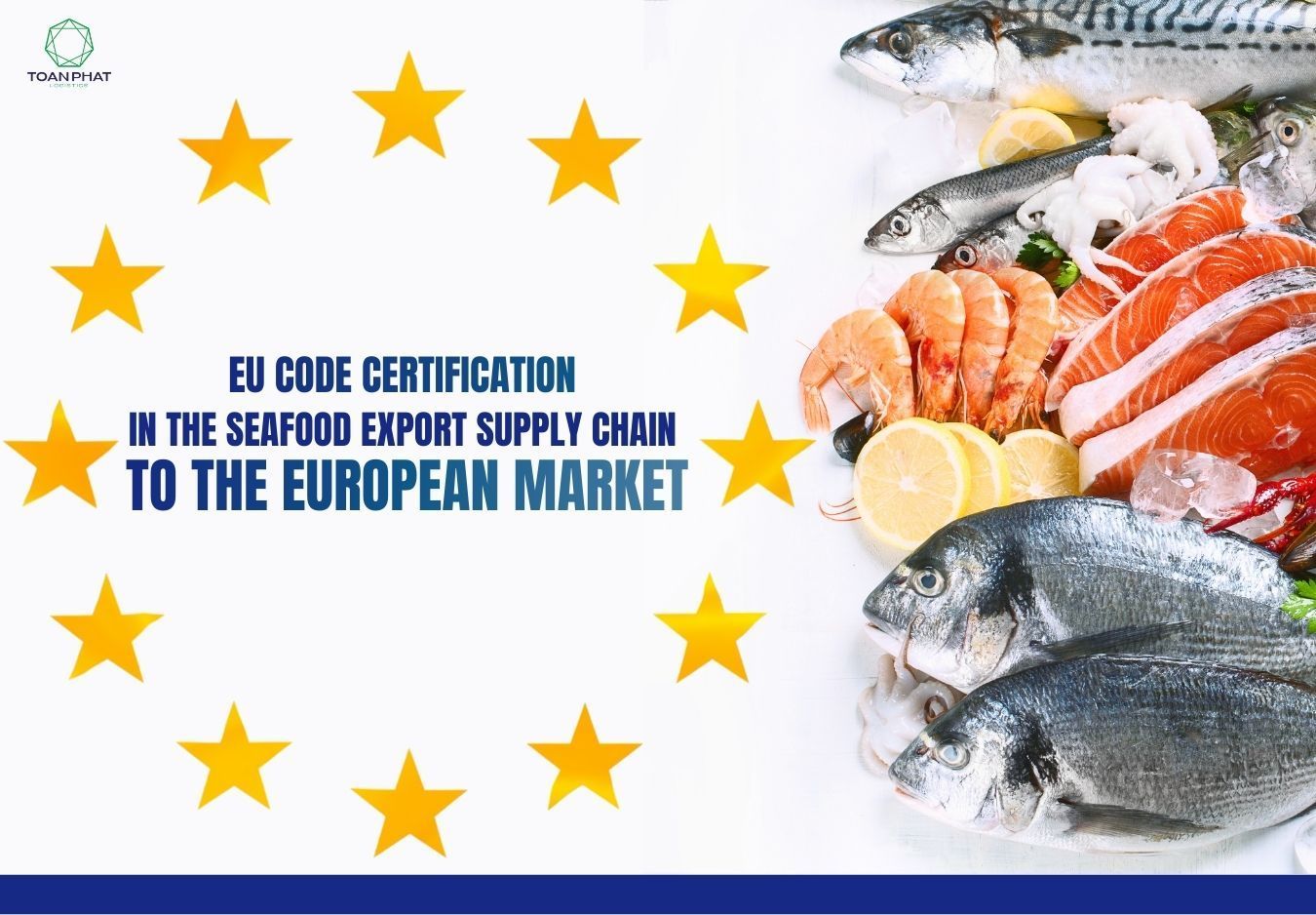 EU Code Certification – The missing link in Vietnam’s seafood export chain to Europe