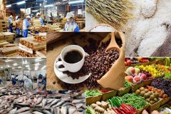 Italia siết quy trình SPS đối với nông sản, thực phẩm và thủy sản Việt Nam