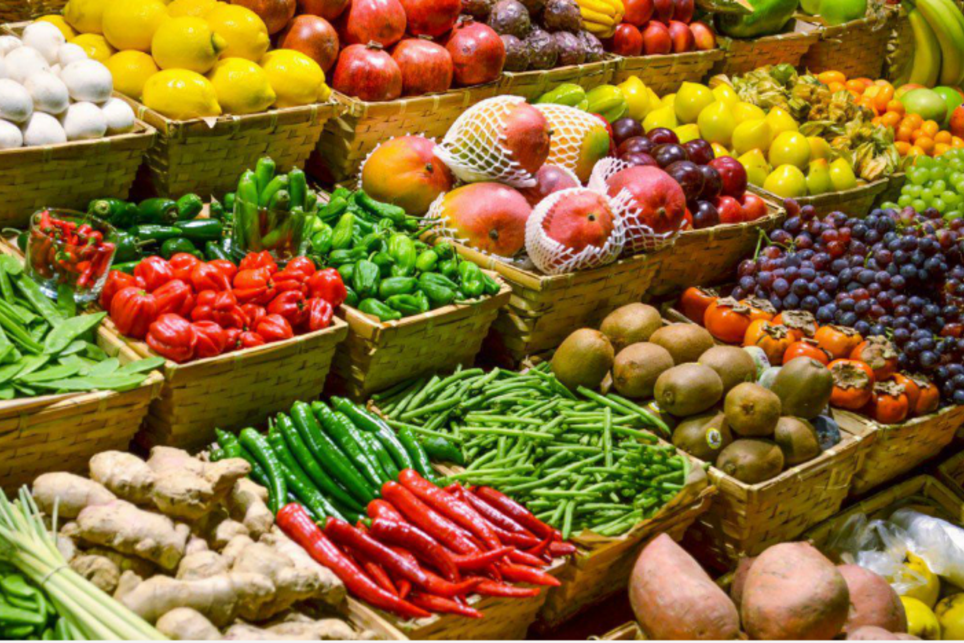 Submit Resolution to the Government to untie agricultural export bottlenecks by July 15 at the latest