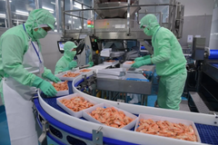 VASEP proposes solutions to address tax challenges for seafood businesses