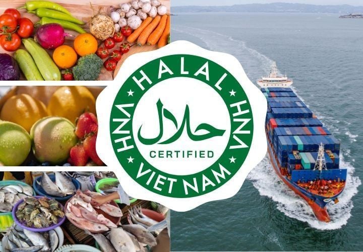 Thị trường Halal: Cơ hội vàng đưa nông sản việt vượt sóng