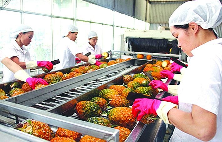 17-xuat-nhap-khau-nong-san-tai-viet-nam20240325172839.jpg