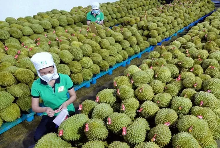 7th đầu năm.webp