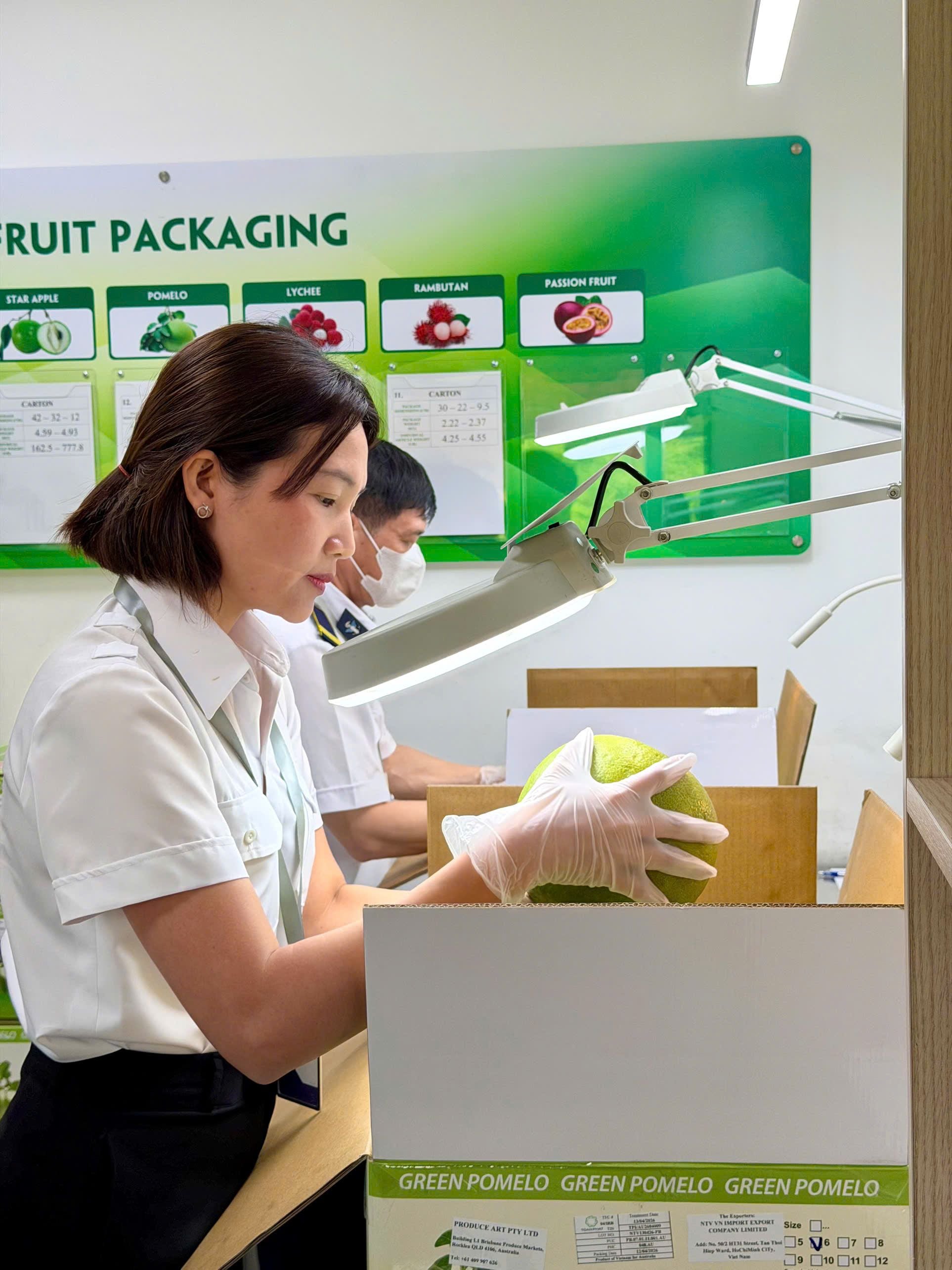 Quy trình kiểm dịch lô bưởi xuất đi thị trường Úc ngày 13.04 tại Nhà máy Chiếu xạ Toàn Phát.jpg