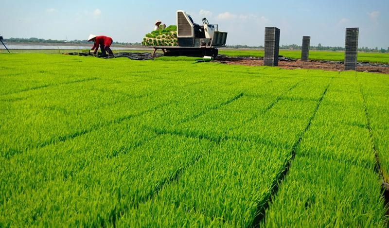 áp dụng kỹ thuật.jpg
