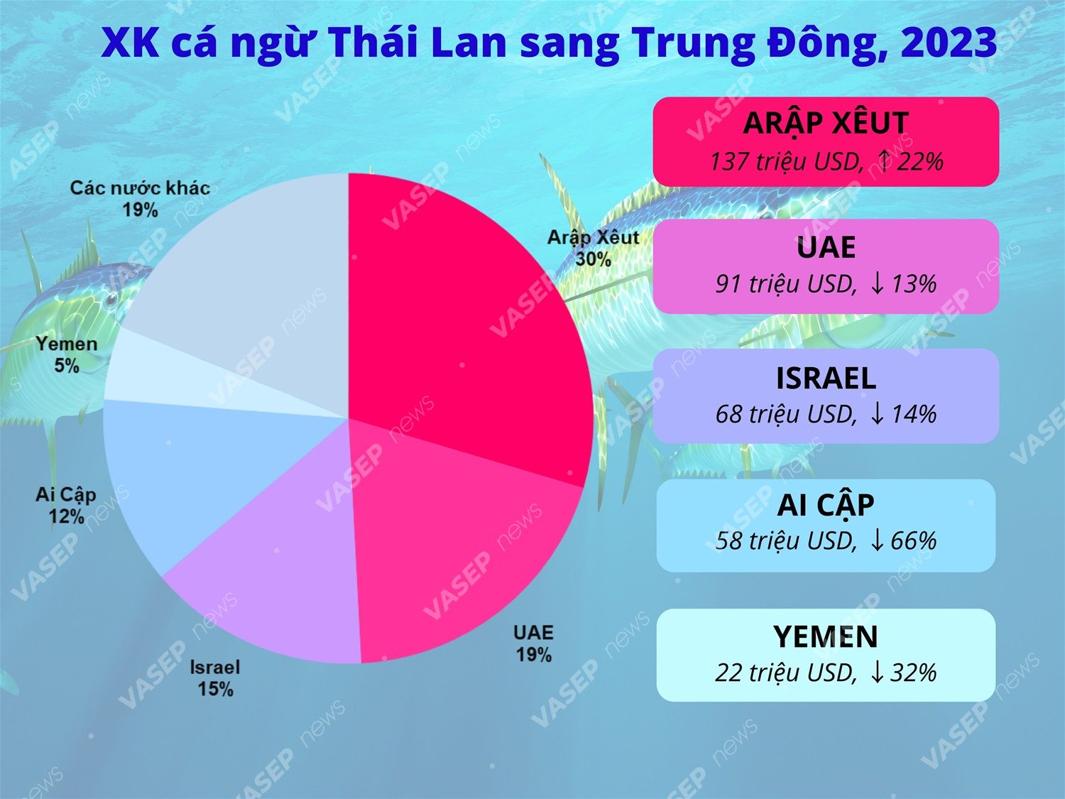 Binh luan ca ngu BT 15-16 2024.jpg