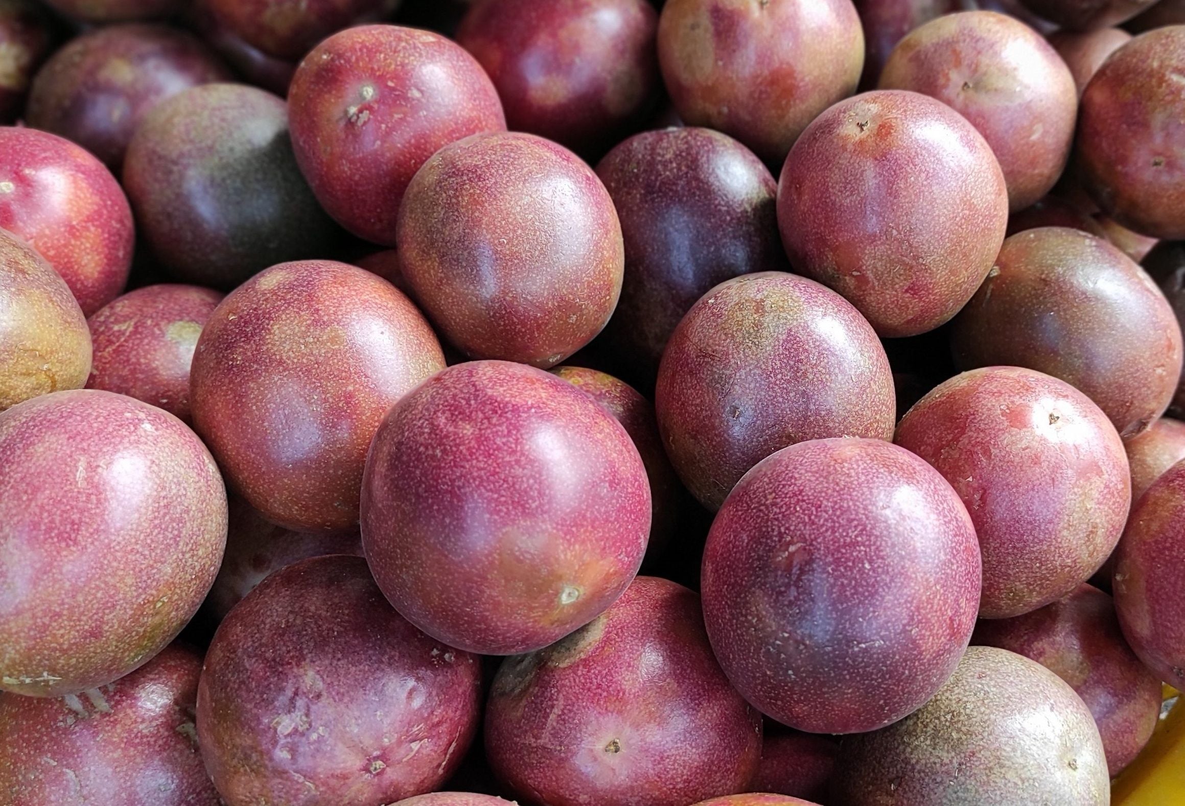 Chanh-day-Passion-fruit-Santorino.org_-scaled.jpg
