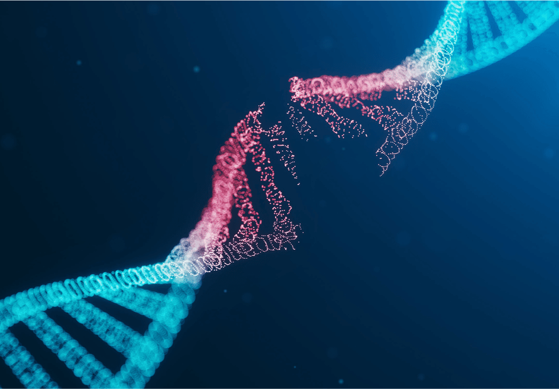 DNA break.png
