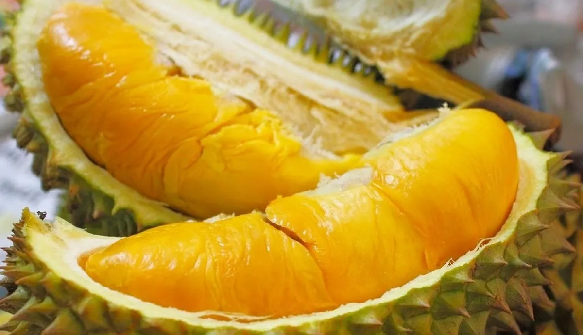 đông lạnh.webp