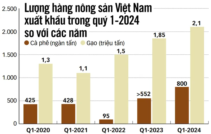 dữ liệu NS 1.webp