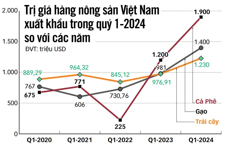 dữ liệu NS.webp