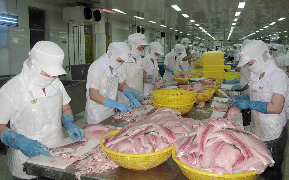 kỳ vọng XK cá Tra.jpeg