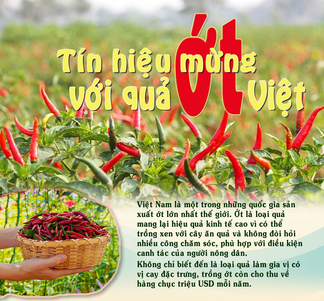 ớt.jpg