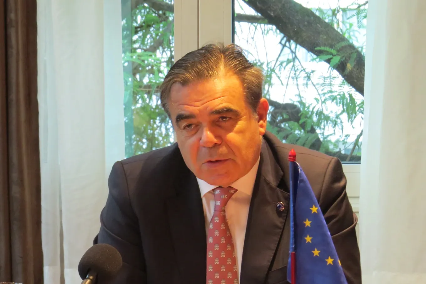 Phó chủ tịch EU.webp