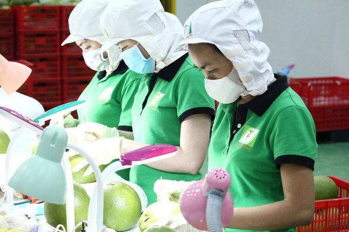 Quy trình kiểm soát.jpg