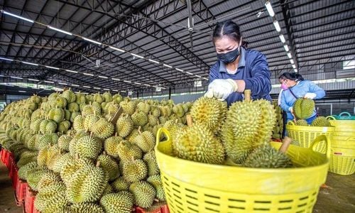 Rau quả, càphe.jpg