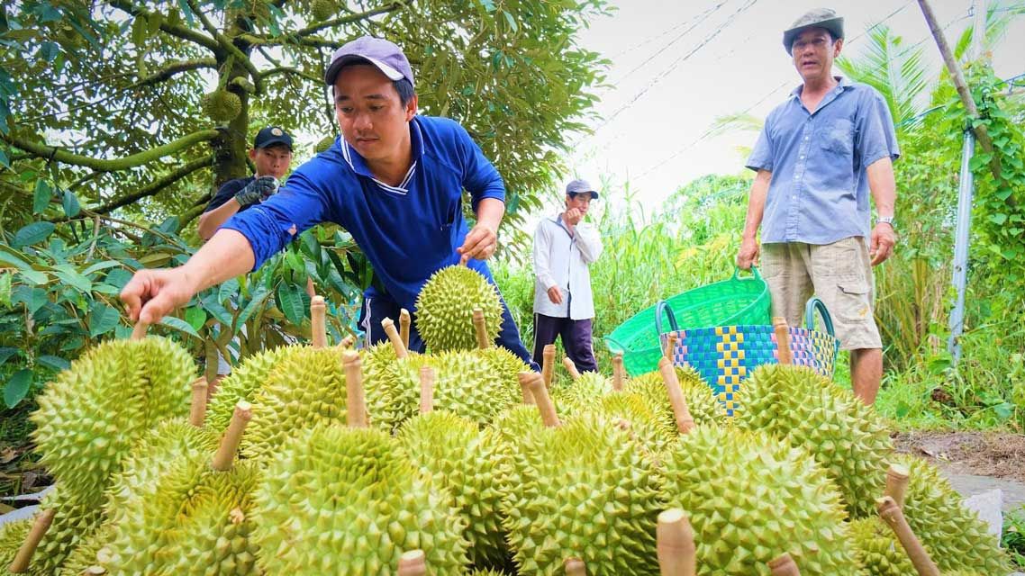 tiến bộ kỹ thuật.jpg