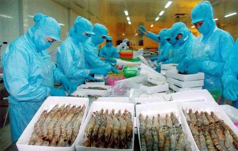 tôm trắng.jpg